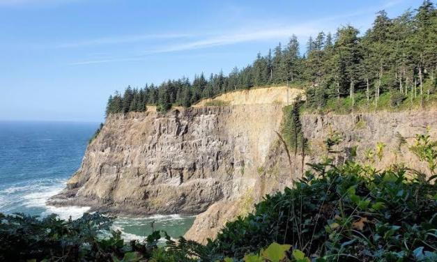 Mountain soils store twice as much carbon as scientists thought