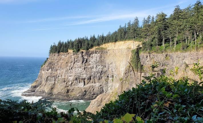 Mountain soils store twice as much carbon as scientists thought