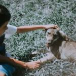 For children: Why kindness and compassion go a long way and make you happy