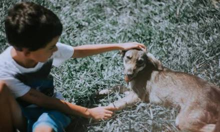 For children: Why kindness and compassion go a long way and make you happy