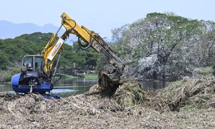 Environmentalists oppose reed removal at Krishnampathi lake, cite threat to bird habitat