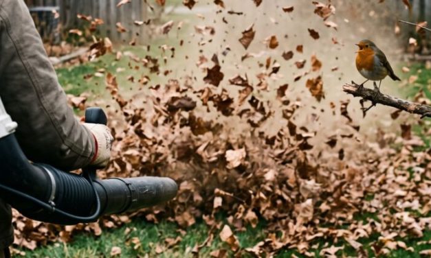 Lawn crews run gas leaf blowers from March through November, straight across the 6 weeks a songbird has to attract a mate, and a study of 160 species shows what that kind of noise does to nesting