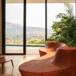 9 drought-tolerant houseplants to keep your home feeling fresh