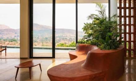 9 drought-tolerant houseplants to keep your home feeling fresh