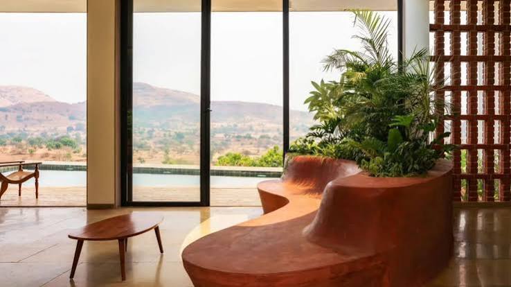 9 drought-tolerant houseplants to keep your home feeling fresh