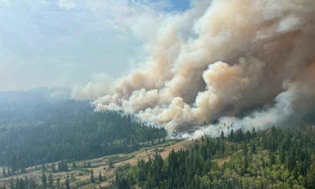 Climate change created conditions for Canada fires, scientists say, as Trump blames mismanagement