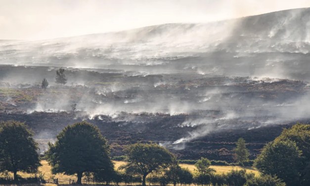 Choking campers evacuate tents as wildfire experts call for more action