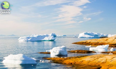 Melting Arctic ice, threatened forests and the growing toll of extreme weather, threatened forests and the growing toll of extreme weather