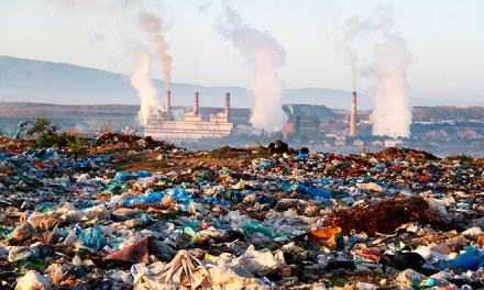 No Power, Water For Malls, Hotels If Solid Waste Not Handled Right: Top Court