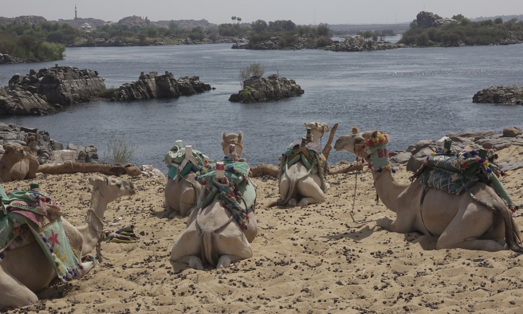 China, Arab states launch a five-year action plan to combat drought, desertification and land degradation