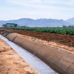 A cotton T-shirt takes roughly 2,700 litres of water to produce, about what one person drinks in two and a half years, and most of that water is pulled from irrigation-stressed river basins in Central and South Asia thousands of kilometres from where the shirt is eventually sold