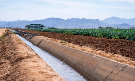 A cotton T-shirt takes roughly 2,700 litres of water to produce, about what one person drinks in two and a half years, and most of that water is pulled from irrigation-stressed river basins in Central and South Asia thousands of kilometres from where the shirt is eventually sold