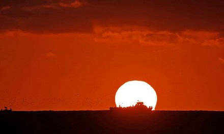 World’s oceans hit highest temperature on record as El Niño grows
