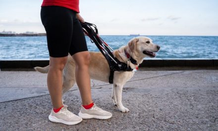 Every owner trains their dog to listen, but some of that ability may already be wired in