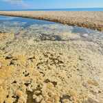The Oceans Just Crossed a New Heat Threshold and El Niño May Push Them Even Further