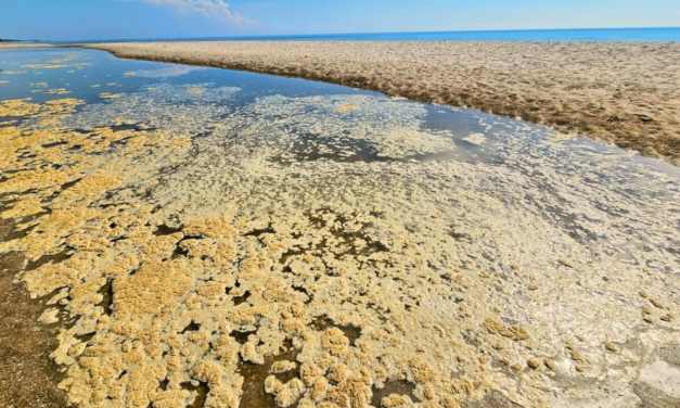 The Oceans Just Crossed a New Heat Threshold and El Niño May Push Them Even Further