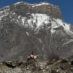 As the Himalayas melt, deadly floods become the new normal
