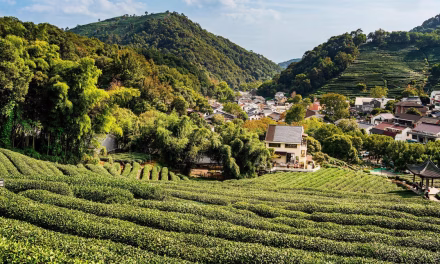 Climate change is turning northern farmlands into nitrogen pollution hotspots