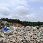 India Emerges as the World’s Largest Plastic Polluter: What Went Wrong and What’s Next?