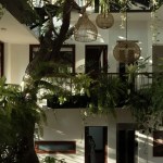 Indoor plants for the living room that bring a refreshing calmness to your space