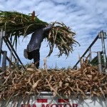 El Nino: A phenomenon supercharged by climate change