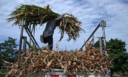El Nino: A phenomenon supercharged by climate change