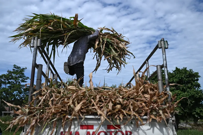 El Nino: A phenomenon supercharged by climate change