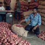 After sugar shock, why Indians are shedding onion tears