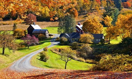 Pomfret, Vermont: The fall foliage town that banned influencers