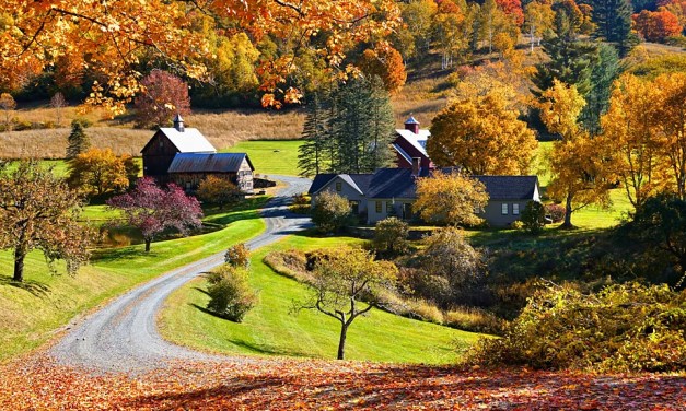 Pomfret, Vermont: The fall foliage town that banned influencers