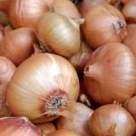 ICAR Scientists Identify Eight Stable, High-Yield Onion Genotypes Across India