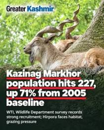 Kazinag Markhor population hits 227, up 71% from 2005 baseline